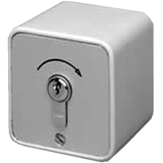 Nyckelbrytare S-APZ 1-1T/1 EN-VEIS IMP. (NO) UTENPÅL. GAMMEL INNS. GEBA SØLV