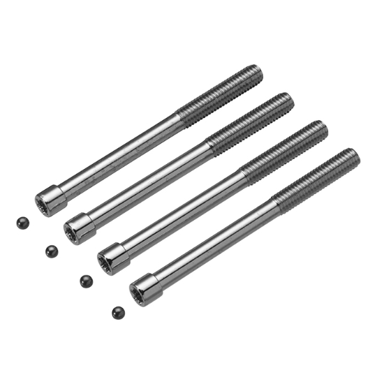 Cylinderskruv 4st M5x60 mm m/plugg (torx)