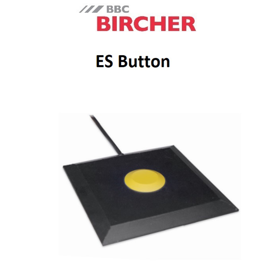 ES Button