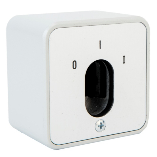 Bild på Nyckelbrytare för oval cylinder - S-AO 1-1R/2